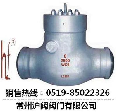 止回閥圖片|止回閥樣板圖|電站止回閥廠家-常州滬閥閥門